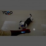 Ycoo by Silverlit Jouet Robo Dackel Chien Extensible Radiocommandé ou Autonome 35 cm Peut Courir Derrière sa Balle